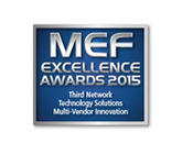 MEF Excellence Award 2015