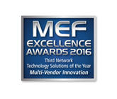  MEF Excellence Award 2016